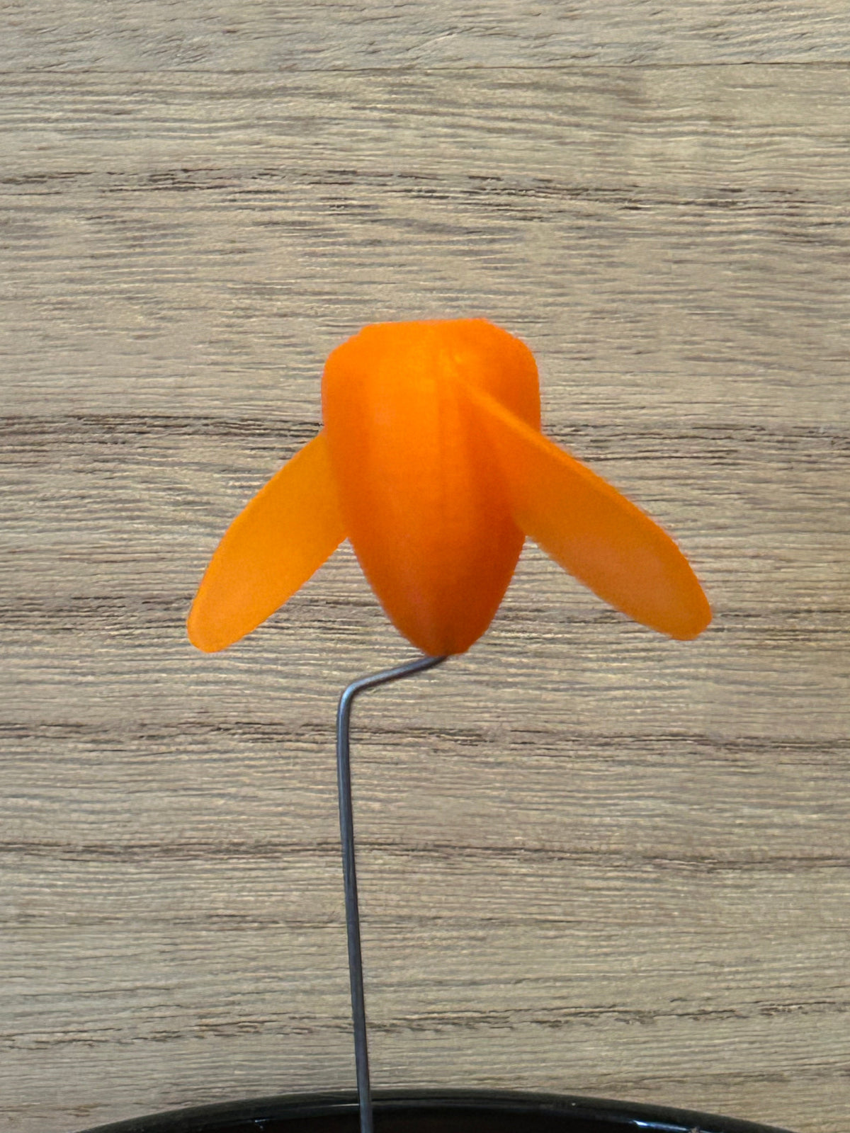 The Whirly - (4-Pack) Orange