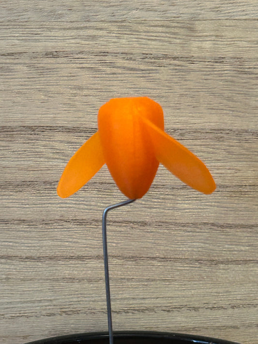 The Whirly - (4-Pack) Orange