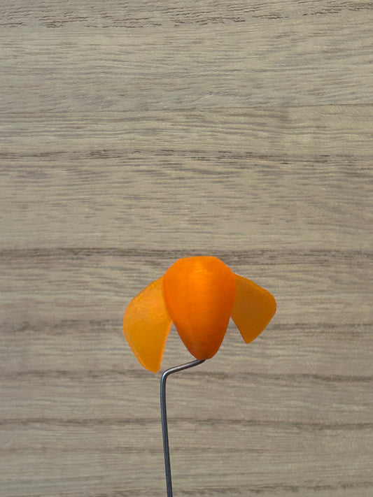 The Whirly - (4-Pack) Orange